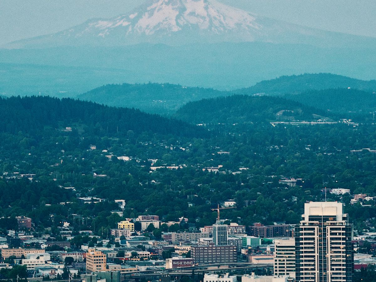 A cityscape with tall buildings in the foreground and a snow-capped mountain in the background under a pastel-colored sky.